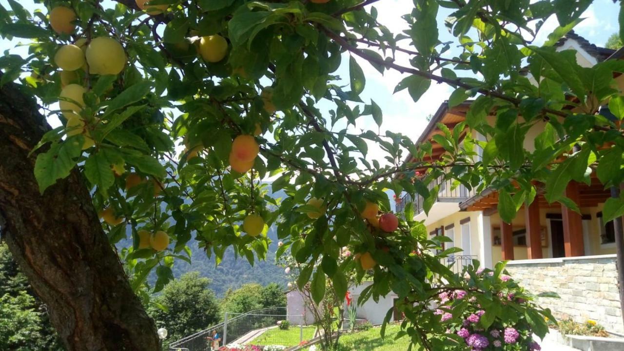 VilladossolaCat Marvei公寓 外观 照片